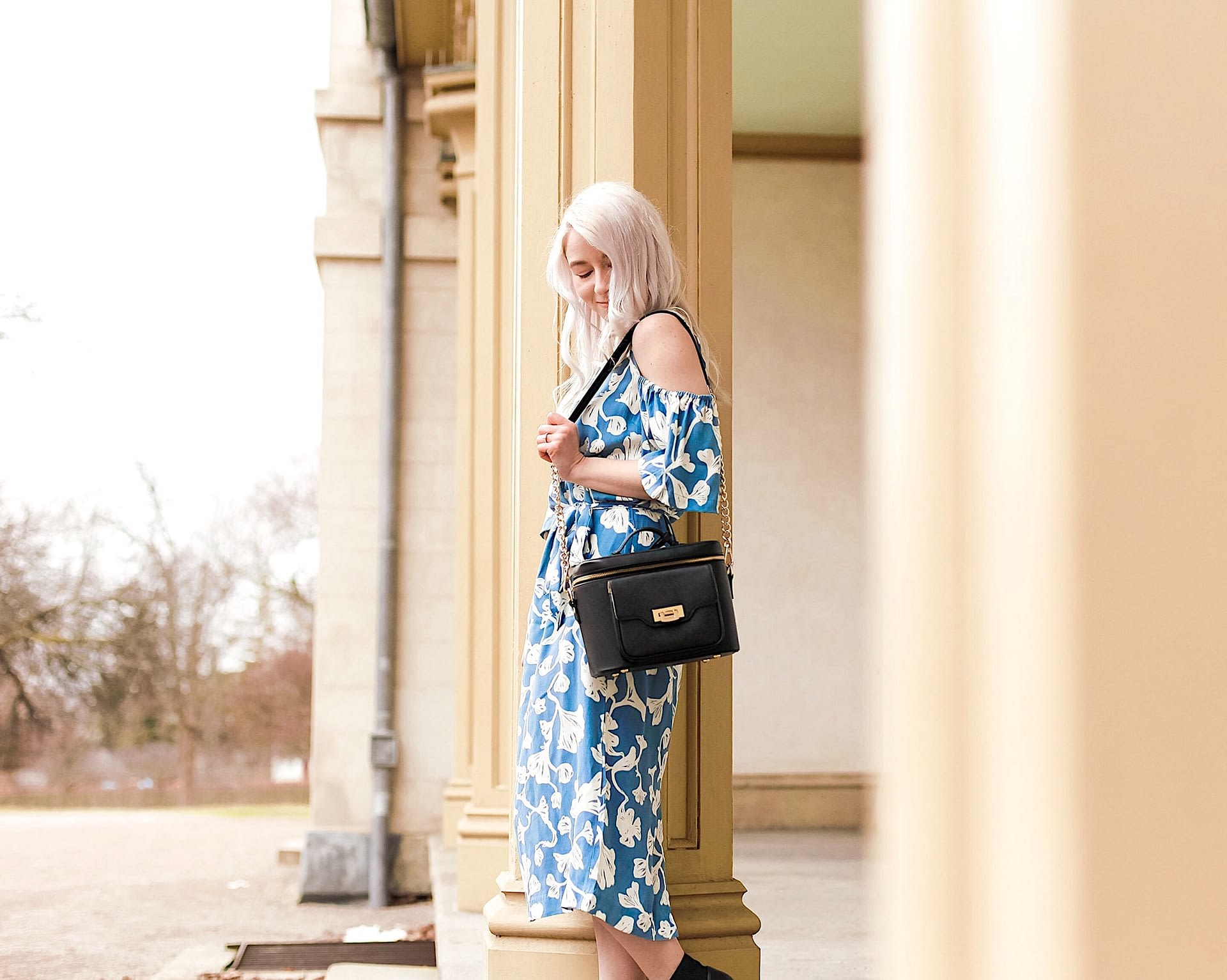 Luxurious Camera IT Bag